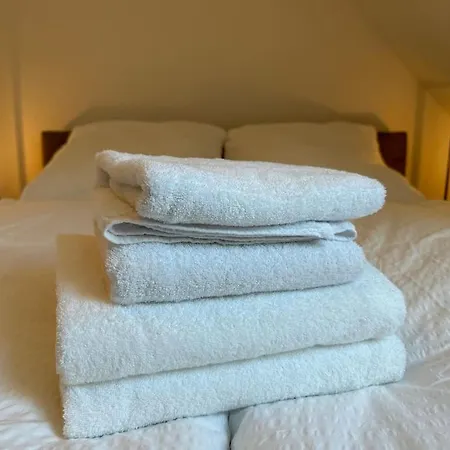 Apartment Direkt In Altstadtlage *