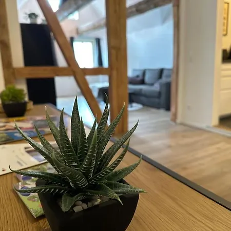 Direkt In Altstadtlage Celle